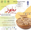 تمدید مهلت ثبت ایده در رویداد شتاب نخود تا ۱۵ خرداد ۱۴۰۰